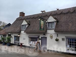 Picture of Dog & Duck