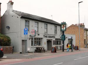 Picture of The Grapes