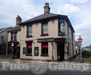 Picture of White Swan