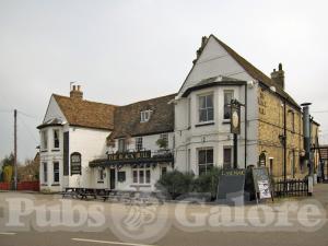 Picture of The Black Bull