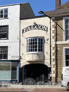 Picture of Falcon