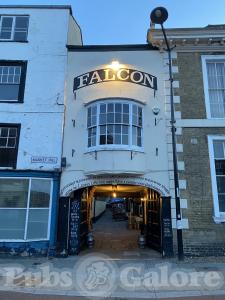 Picture of Falcon