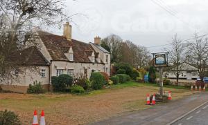 Picture of The Swan