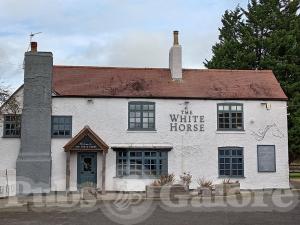 Picture of The White Horse