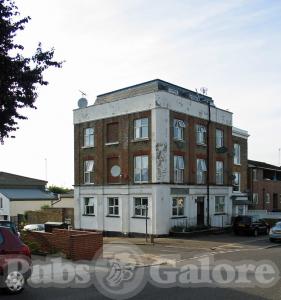 Picture of Royal Oak