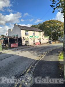 Picture of Lazy Toad