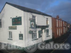 Picture of Bay Horse