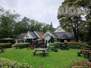 Picture of Bulls Head