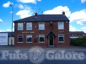 Picture of Old Pack Horse