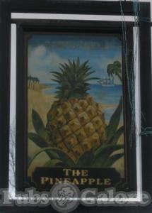 Picture of The Pineapple