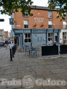 Picture of White Lion