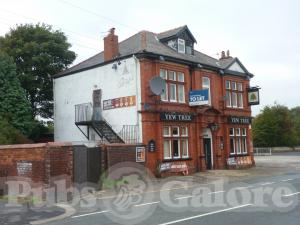 Picture of The Yew Tree
