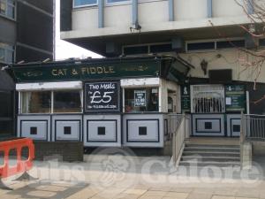 Picture of Cat & Fiddle