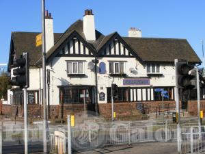 Picture of Old Roan