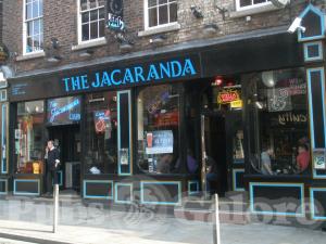 Picture of Jacaranda