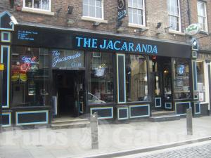 Picture of Jacaranda