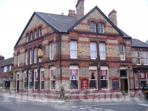 Picture of The Rose