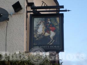 Picture of White Horse