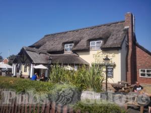 Picture of The Thatch and Thistle