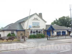 Picture of Blue Anchor