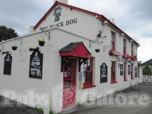 Picture of The Black Dog