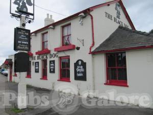 Picture of The Black Dog