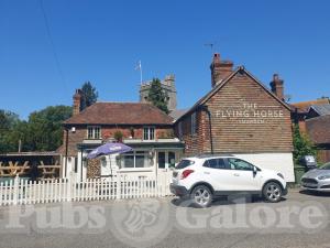 Picture of The Flying Horse