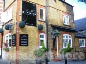 Picture of The Stag
