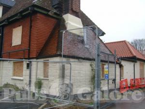 Picture of The White Horse