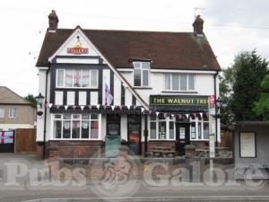 Picture of The Walnut Tree