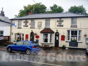 Picture of Duke Of York
