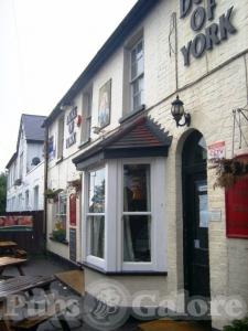 Picture of Duke Of York