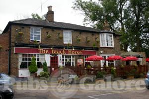 Picture of The Black Horse