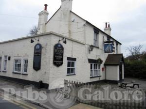 Picture of The White Bear