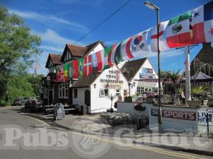 Picture of The Three Horseshoes