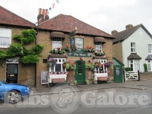 Picture of Turks Head