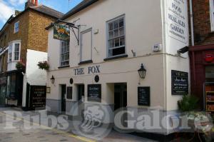 Picture of The Fox
