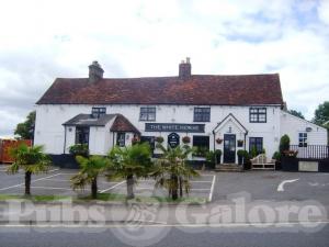 Picture of The White Horse