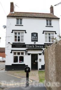 Picture of The Black Swan
