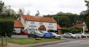Picture of The Bluebell