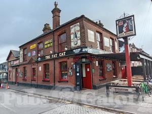 Picture of The Fat Cat