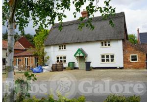 Picture of Horse & Groom