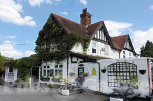 Picture of The White Horse