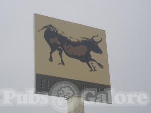 Picture of Black Bull