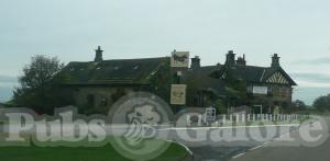 Picture of Black Bull