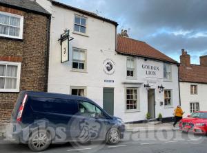 Picture of Golden Lion