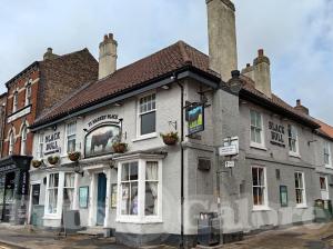 Picture of Black Bull