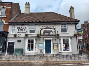 Picture of Black Bull