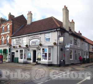 Picture of Black Bull