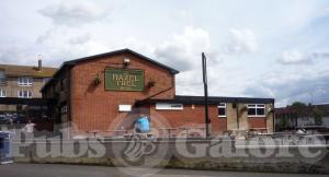 Picture of The Hazel Tree